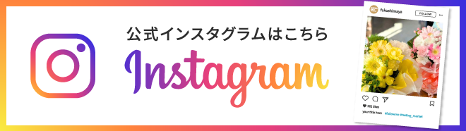 公式Instagramページ