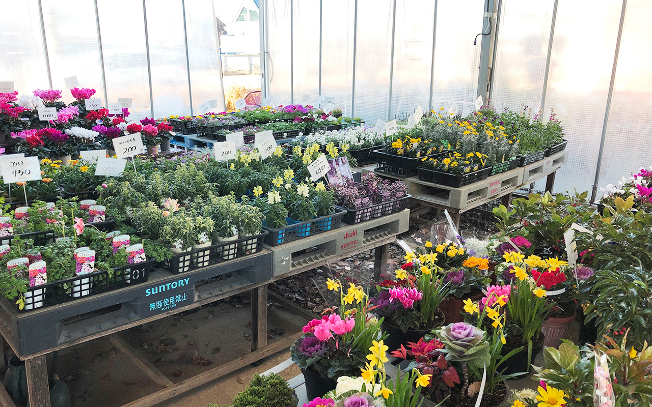 ファンタス・ガーデン・ クラブ・ザイン