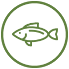 鮮魚