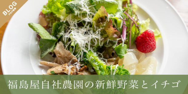 福島屋自社農園の新鮮野菜とイチゴ