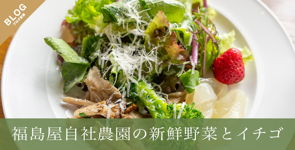 福島屋自社農園の新鮮野菜とイチゴ